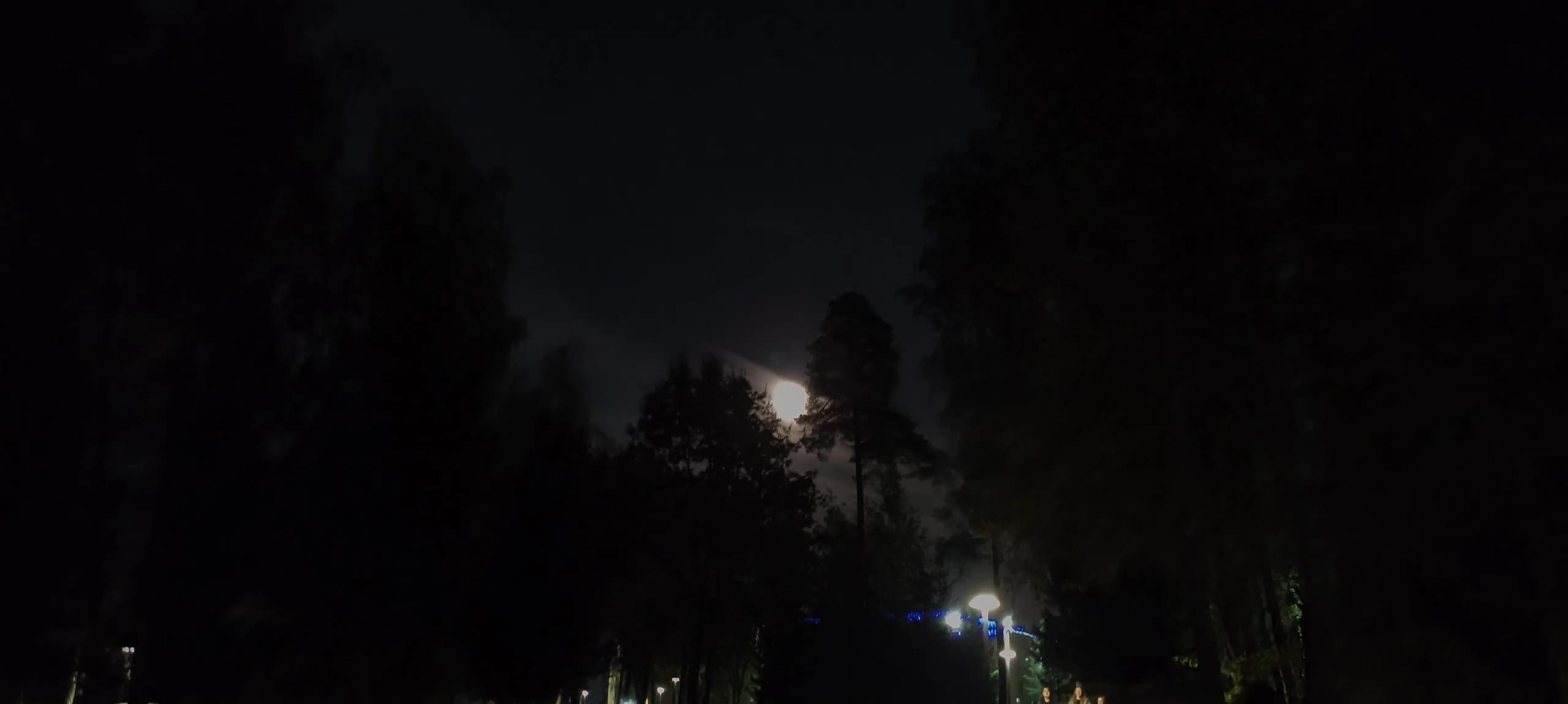 Фото отряда