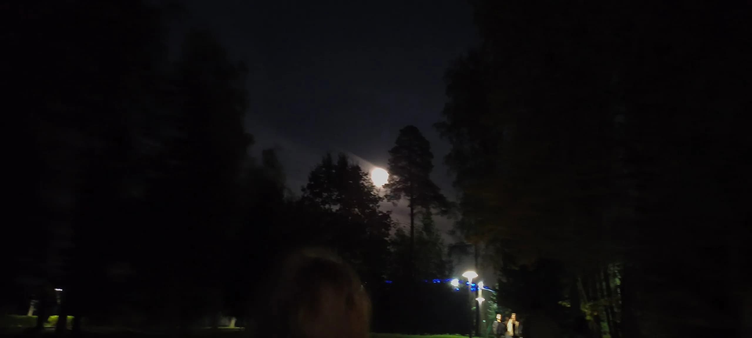 Фото отряда